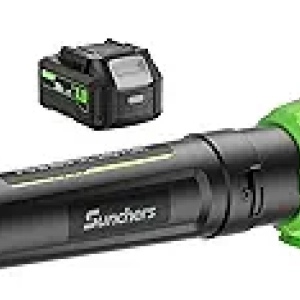20V Cordless Leaf Blower 780CFM 260MPH with 2 Batteries & Charger
