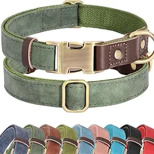 Didog Soft PU Leather Dog Collar for Medium Dogs - Adjustable Green Collar with Quick Release Buckle