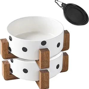 Small Ceramic Dog Bowl Set with Stand - Anti-Slip Pet Bowls for Cats & Dogs