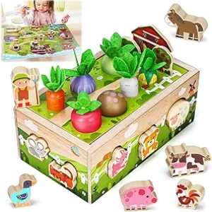 Montessori Wooden Sensory Toys for 1 Year Old - Educational Birthday Gift