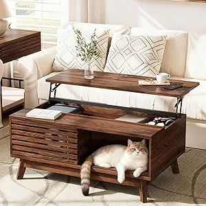 HAIOOU Lift Top Coffee Table - Mid Century Modern Storage Coffee Table with Sliding Door