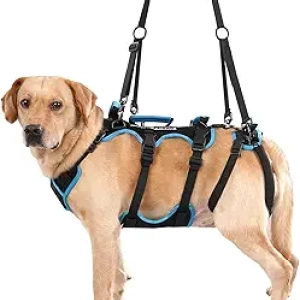 Dog Lift Harness for Large Male Dogs - 2-in-1 Full Body Support with 4 Handles