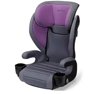 Safety 1st Grow and Go 2-in-1 Booster Car Seat | High-Back to Backless Conversion