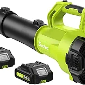 Cordless Leaf Blower with 2 Batteries & Charger - Lightweight Electric Handheld Blower