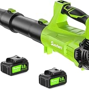 20V Cordless Leaf Blower with 2 Batteries - 650CFM 280MPH Handheld Electric Blower