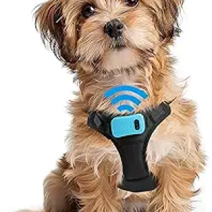 Small Dog Bark Control Training Vest - Rechargeable No Barking Device with 5 Sensitivity Levels