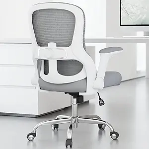 400LBS Ergonomic Office Chair with Lumbar Support & Mesh Back