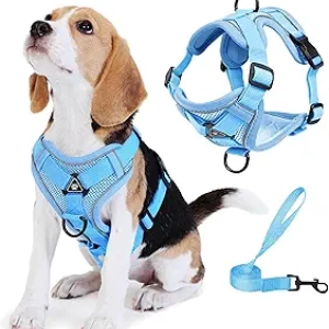 No Pull Dog Harness with Leash - Small Dog & Cat Vest, Front Clip Anti-Choke Blue M