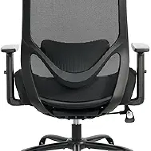 450 lbs Big and Tall Office Chair - Ergonomic Heavy Duty Executive Desk Chair