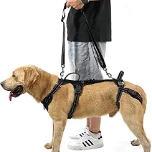 COODEO Mobility Dog Lift Harness - Rear Leg Support Sling for Senior Dogs & Joint Injury Recovery