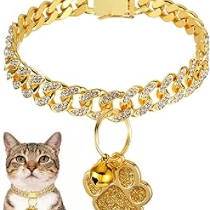 Gold Diamond Cat Collar with Paw Charm & ID Tag - Bling Pet Necklace