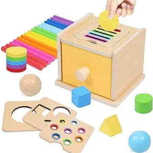4-in-1 Montessori Toys for Toddlers 1-3 Years | Wooden Shape Sorter & Ball Drop Box