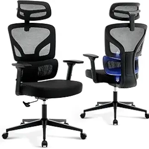Ergonomic Mesh Office Chair with Lumbar Support & 3D Armrests